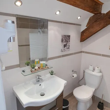 Hotel La Sapiniere Chamonix